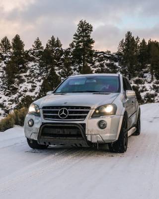 Bull Bar | Black | BB141003A-SP