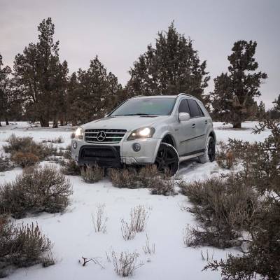 Bull Bar | Black | BB141003A-SP