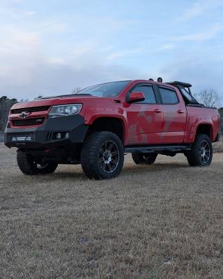Bold Look, Beastly Protection!