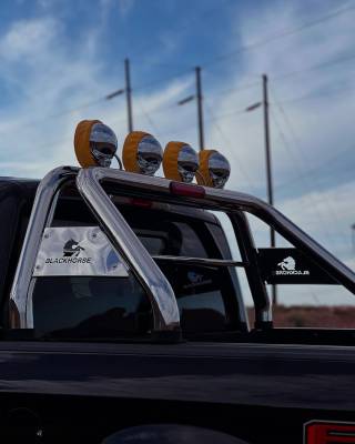 CLASSIC Roll Bar-Stainless Steel | RB001SS