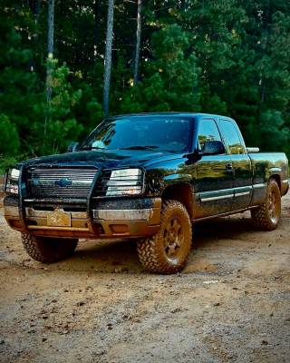 Grille Guard | 17GT25MA