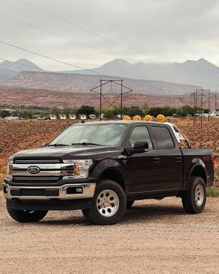 CLASSIC Roll Bar-Stainless Steel | RB001SS